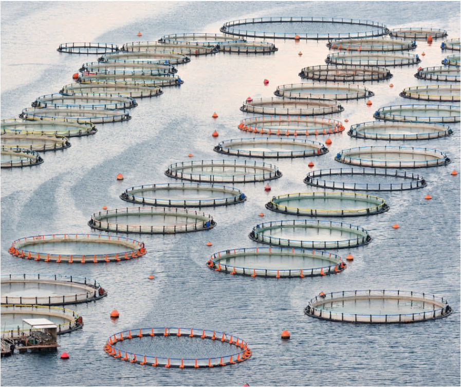 Aquacultures footprint