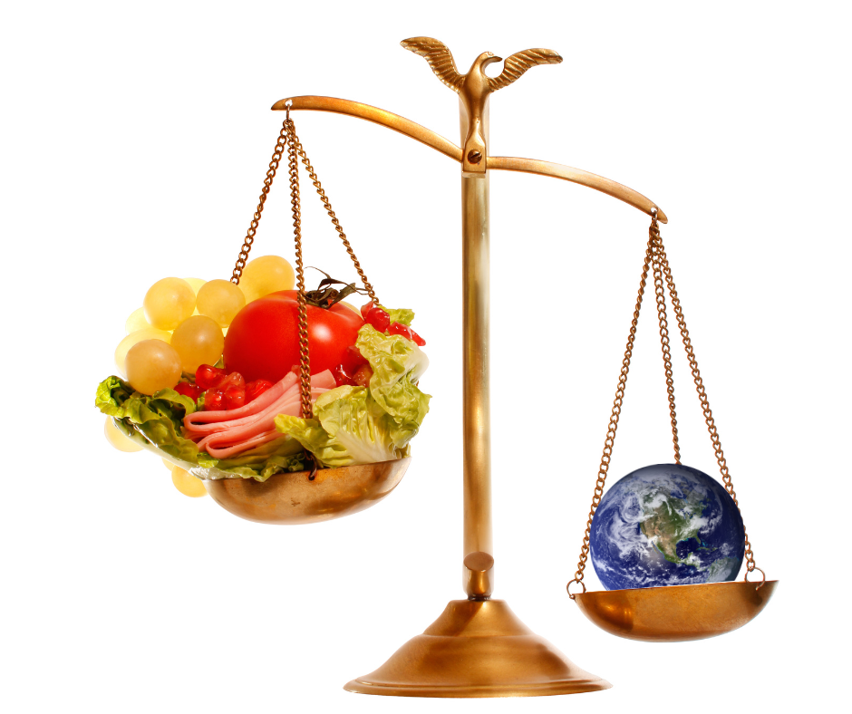 Balancing human health against planetary health through diet - Sustainable  Nutrition Initiative®